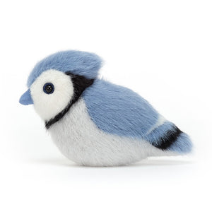 Birdling Bluejay