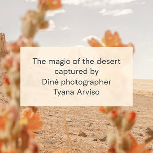 Desert Dream Notecards