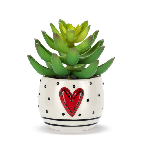 Heartful Mini Succulent