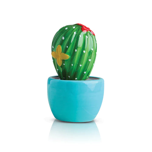 NF Cactus