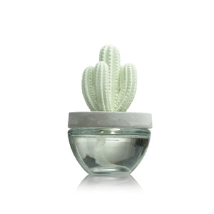 Saguaro Cactus Diffuser