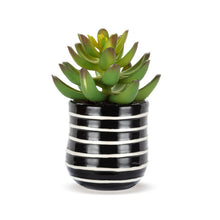 Load image into Gallery viewer, Heartful Mini Succulent
