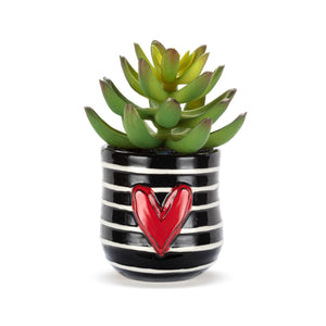 Heartful Mini Succulent