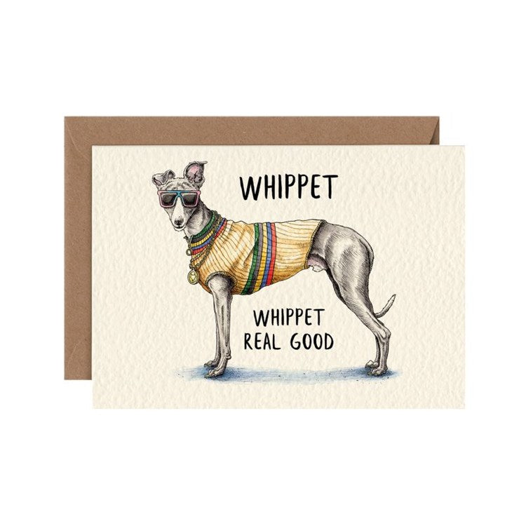 Whippet